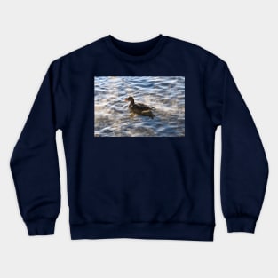 Duck on a Lake Crewneck Sweatshirt